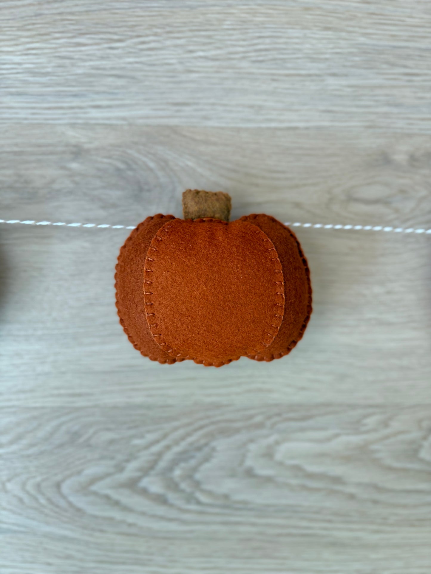 Pumpkin Patch Garland