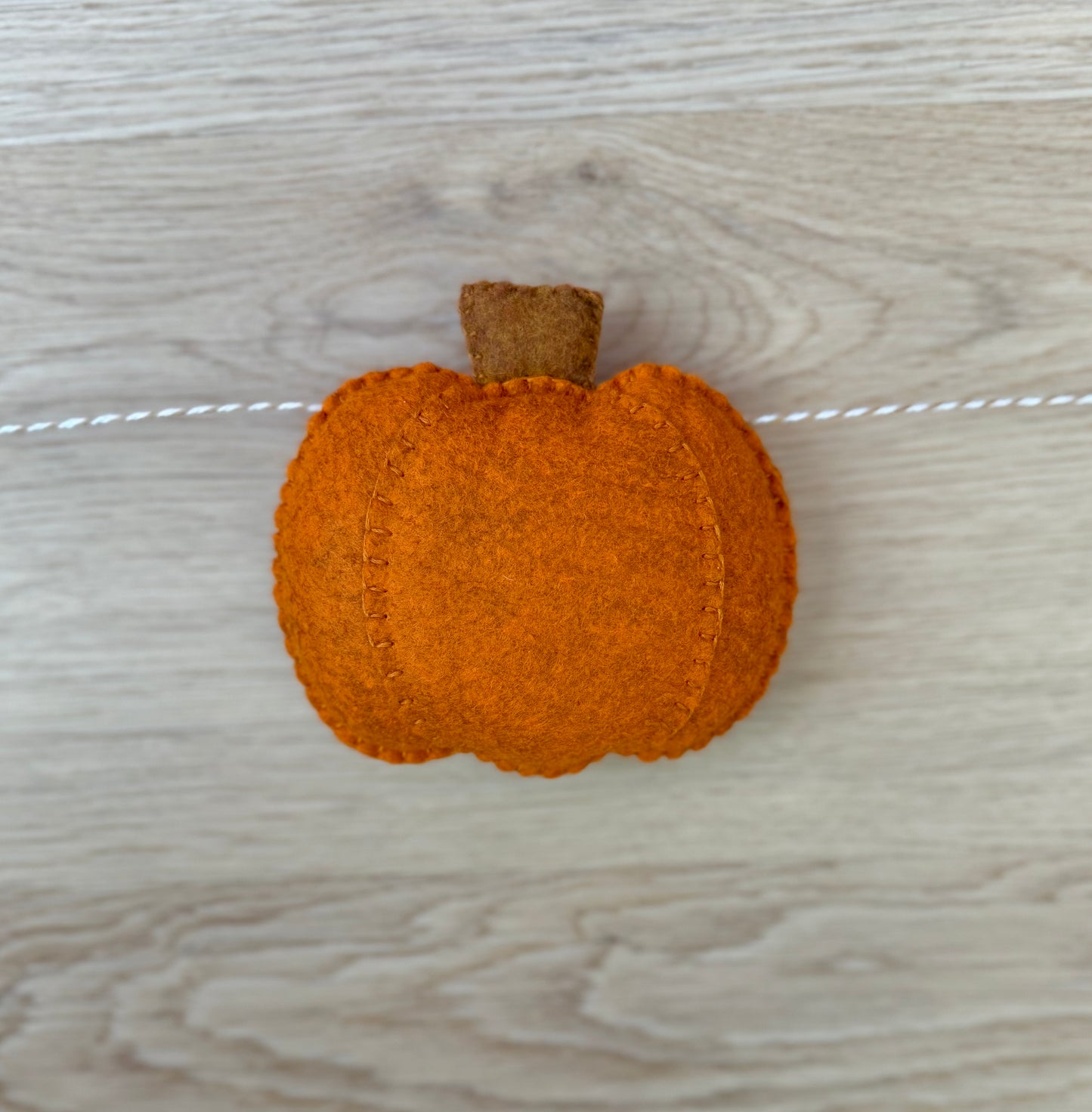 Pumpkin Patch Garland
