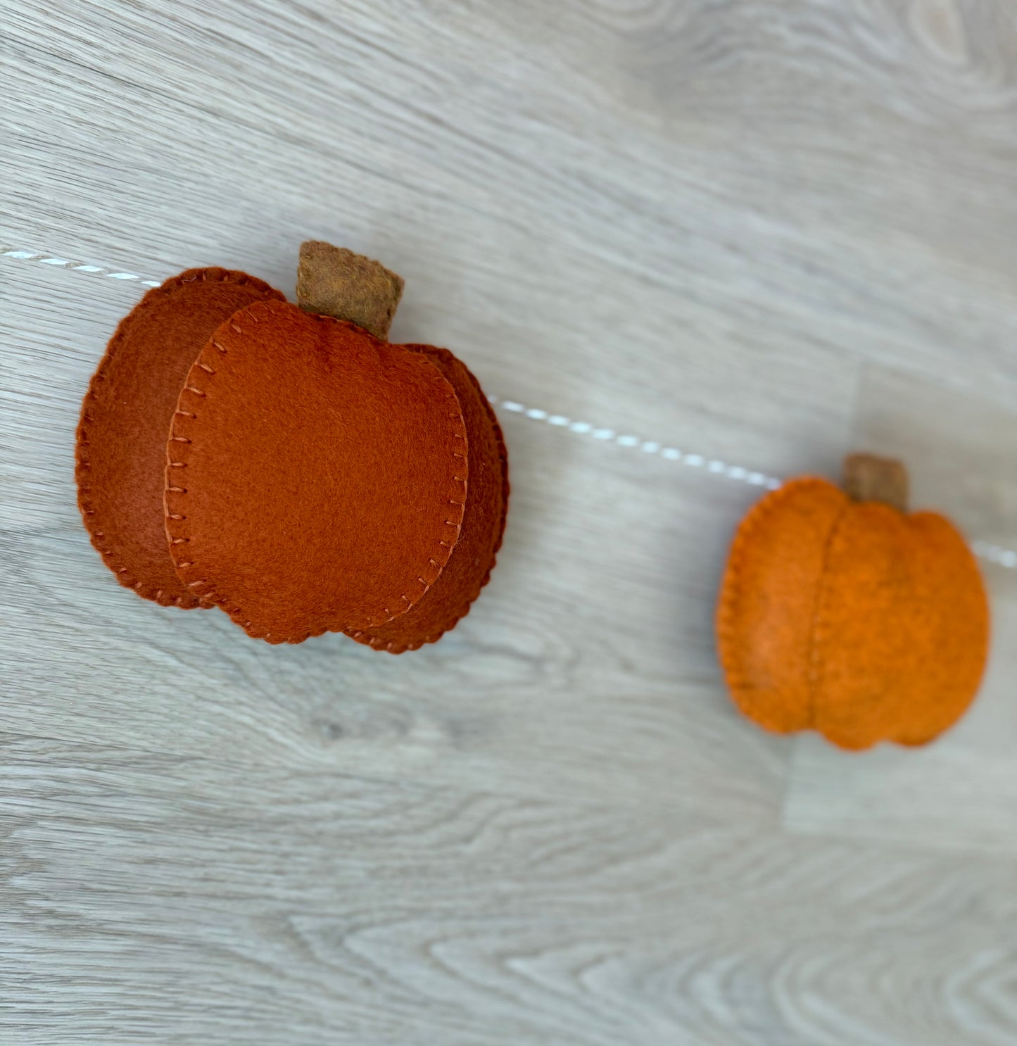 Pumpkin Patch Garland